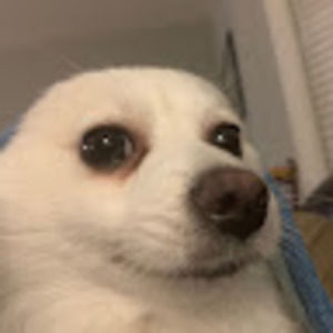 Meet your Posher, Nyah